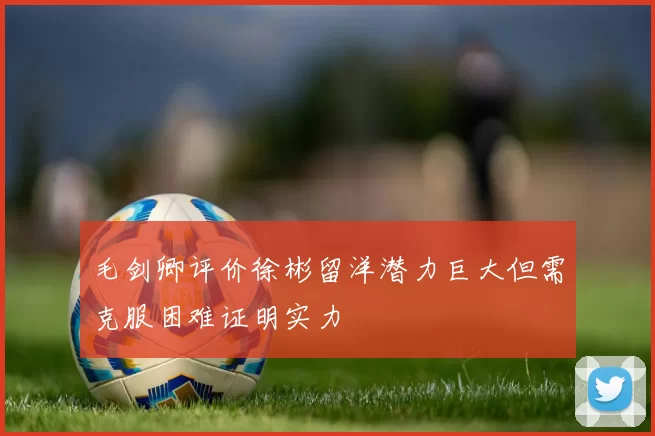 毛剑卿评价徐彬留洋潜力巨大但需克服困难证明实力