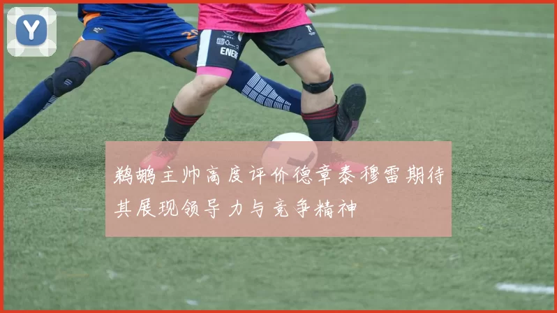 鹈鹕主帅高度评价德章泰穆雷期待其展现领导力与竞争精神