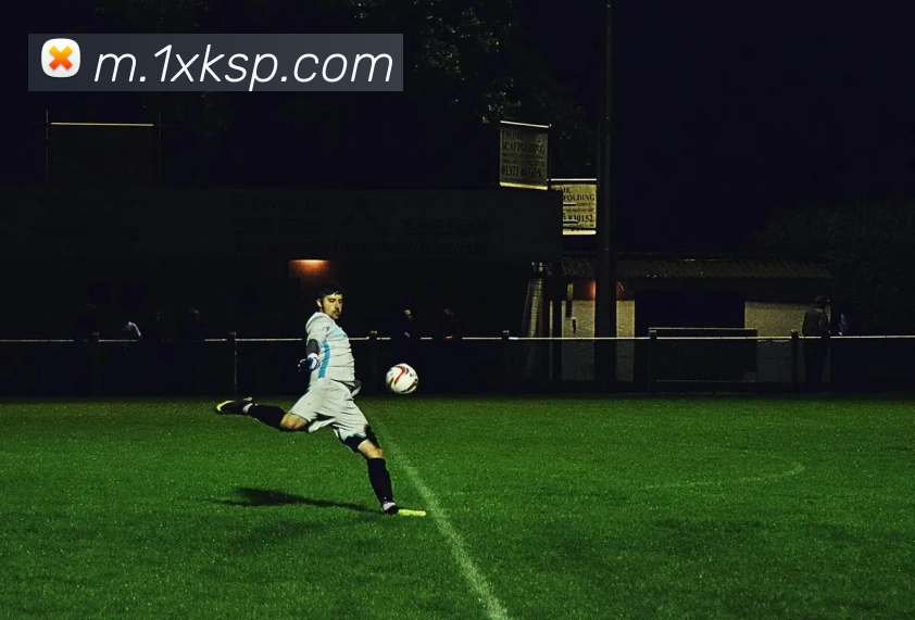 星空体育官网服务体系